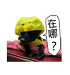 Happy Dogs Club:Real（個別スタンプ：13）