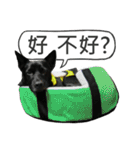 Happy Dogs Club:Real（個別スタンプ：23）