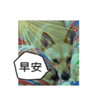 Happy Dogs Club:Real（個別スタンプ：33）