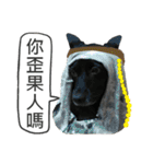 Happy Dogs Club:Real（個別スタンプ：36）