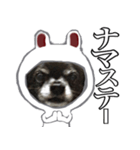 名犬 ロク 3（個別スタンプ：32）