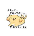 何か言いたい犬（個別スタンプ：2）