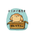 何か言いたい犬（個別スタンプ：6）