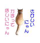 ハッピーCAT（個別スタンプ：14）