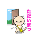 日常の【にゃこみち。】（個別スタンプ：11）