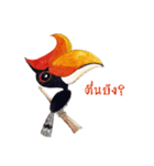 Picky Hornbill（個別スタンプ：1）