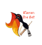 Picky Hornbill（個別スタンプ：4）