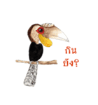 Picky Hornbill（個別スタンプ：6）
