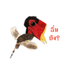 Picky Hornbill（個別スタンプ：7）