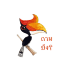 Picky Hornbill（個別スタンプ：8）