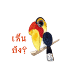 Picky Hornbill（個別スタンプ：11）