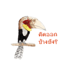 Picky Hornbill（個別スタンプ：12）