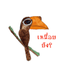 Picky Hornbill（個別スタンプ：13）
