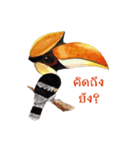 Picky Hornbill（個別スタンプ：18）