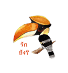 Picky Hornbill（個別スタンプ：20）