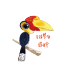 Picky Hornbill（個別スタンプ：26）
