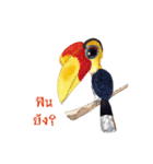 Picky Hornbill（個別スタンプ：27）