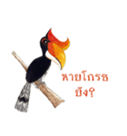 Picky Hornbill（個別スタンプ：28）