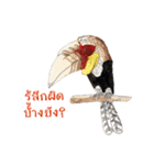 Picky Hornbill（個別スタンプ：35）