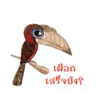 Picky Hornbill（個別スタンプ：37）