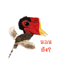 Picky Hornbill（個別スタンプ：40）