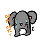 funny mouse sticker（個別スタンプ：11）