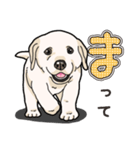 わんこ日和ラブラドールの仔犬（個別スタンプ：11）