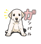 わんこ日和ラブラドールの仔犬（個別スタンプ：29）