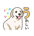 わんこ日和ラブラドールの仔犬（個別スタンプ：33）