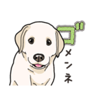 わんこ日和ラブラドールの仔犬（個別スタンプ：36）