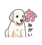 わんこ日和ラブラドールの仔犬（個別スタンプ：38）