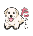 わんこ日和ラブラドールの仔犬（個別スタンプ：40）