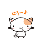 Life is Cat（個別スタンプ：1）