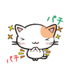 Life is Cat（個別スタンプ：3）