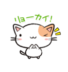 Life is Cat（個別スタンプ：11）