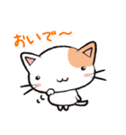 Life is Cat（個別スタンプ：13）