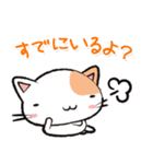 Life is Cat（個別スタンプ：17）