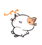 Life is Cat（個別スタンプ：19）