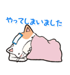 Life is Cat（個別スタンプ：38）