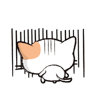 Life is Cat（個別スタンプ：40）