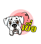 dog like（個別スタンプ：12）