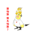 Yi- Zhao-Xin Good ideas（個別スタンプ：35）