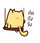 CAPO the Crazy cat（個別スタンプ：38）