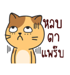 funny..cat（個別スタンプ：31）