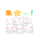 白いうさぎの”リト”（個別スタンプ：31）
