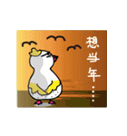 Coo Coo Chick 5（個別スタンプ：4）