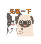 Pug＆Boston Terrier（個別スタンプ：2）