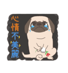 Pug＆Boston Terrier（個別スタンプ：7）