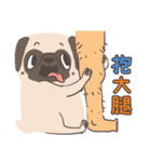 Pug＆Boston Terrier（個別スタンプ：16）