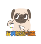 Pug＆Boston Terrier（個別スタンプ：20）